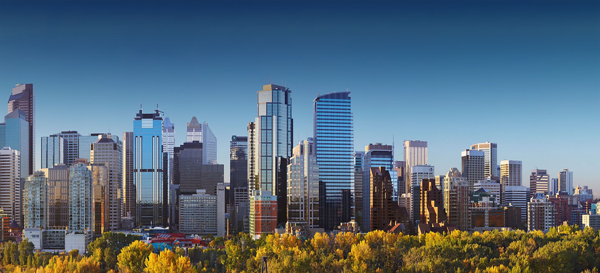 Business for Sale Calgary Alberta